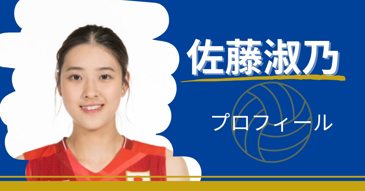 佐藤淑乃　プロフィール　年齢　身長　プレースタイル　NEC